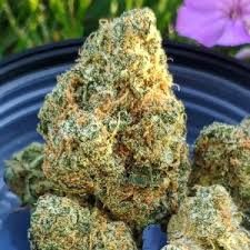 Buy Snoop Dogg OG Online in the uk
